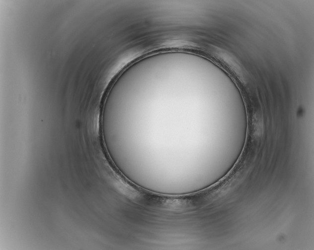 X0000095521322200712211254