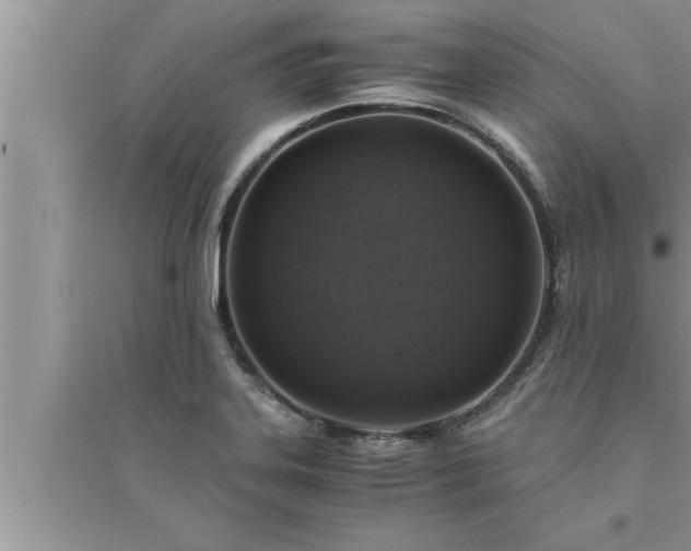 X0000095521323200712211254