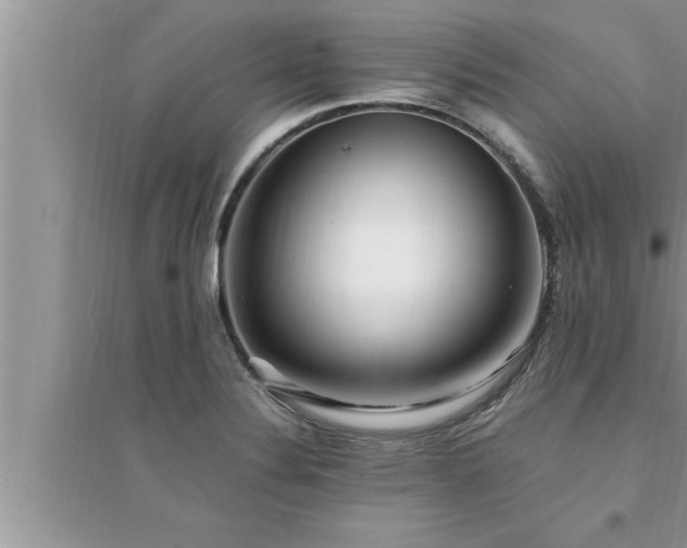 X0000095521324200712211254