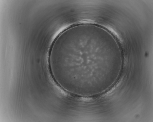 X0000095521325200712211254