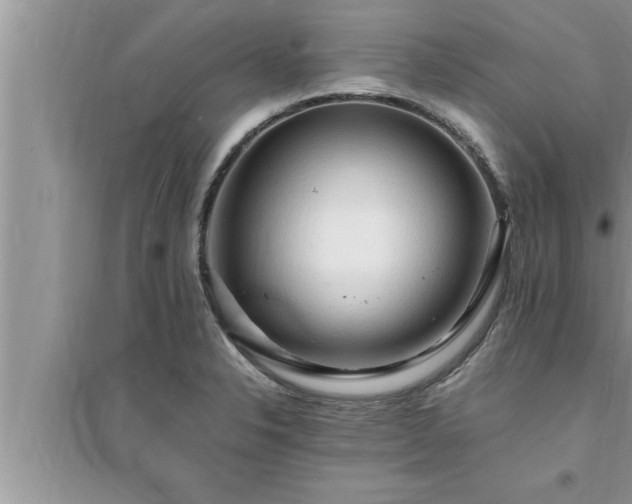 X0000095521326200712211254