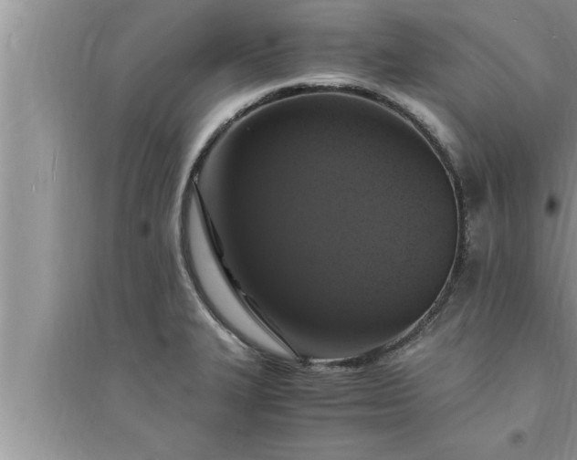 X0000095521327200712211254