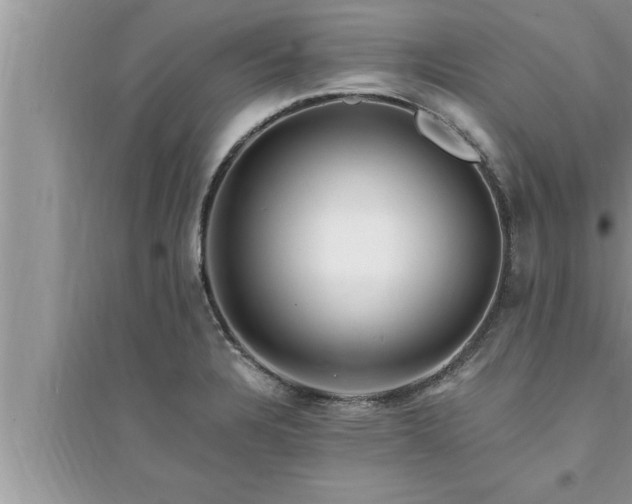 X0000095521328200712211254