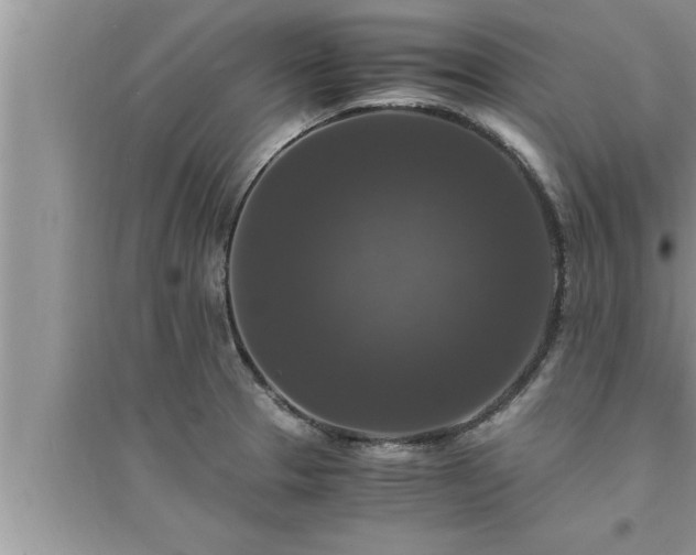 X0000095521329200712211254