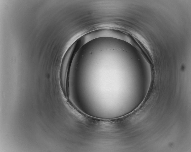 X0000095521330200712211254