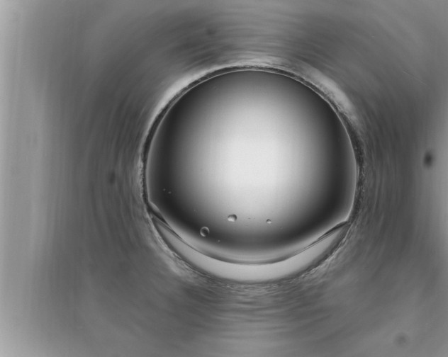 X0000095521332200712211254