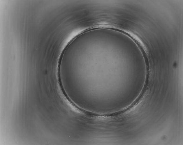 X0000095521333200712211254