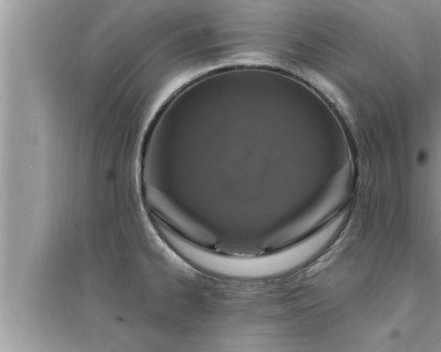 X0000095521334200712211254