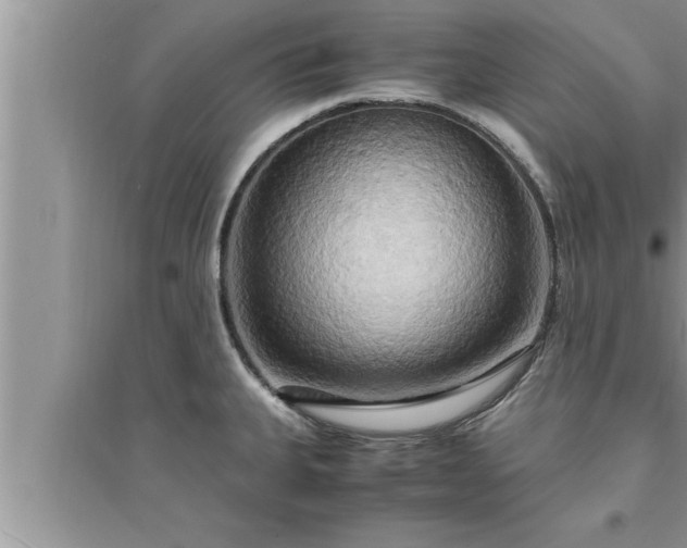 X0000095521335200712211254