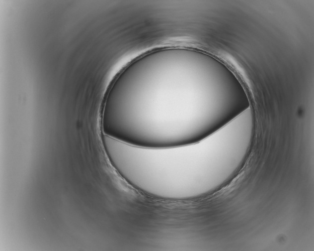 X0000095521336200712211254