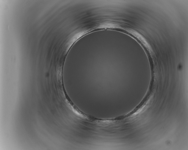 X0000095521337200712211254