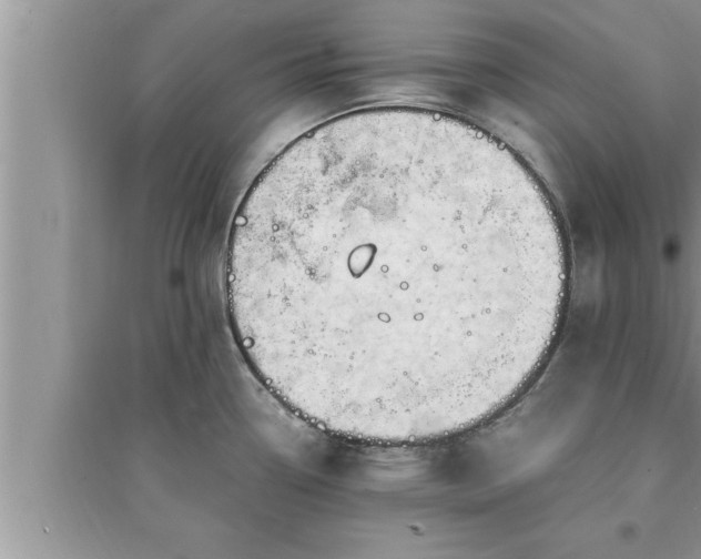 X0000095521338200712211254