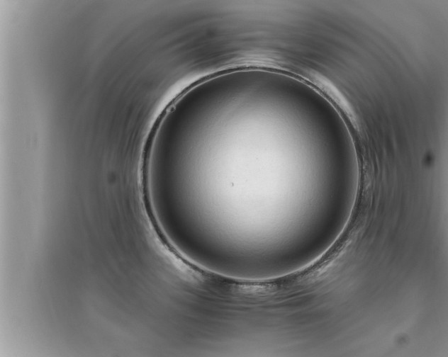 X0000095521339200712211254