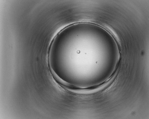 X0000095521340200712211254