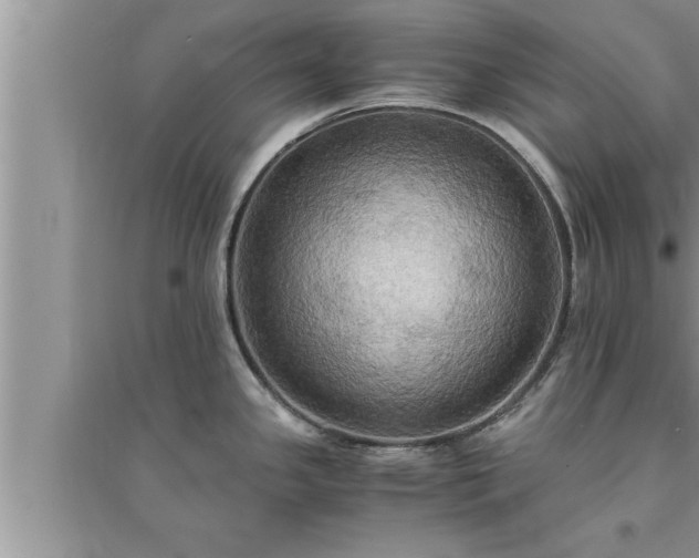 X0000095521341200712211254