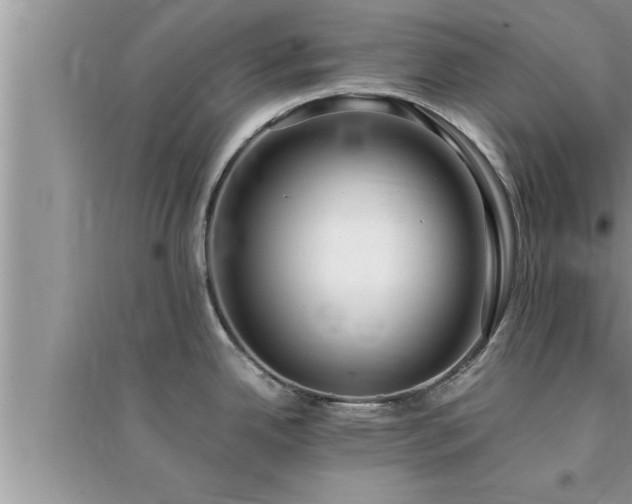 X0000095521342200712211254