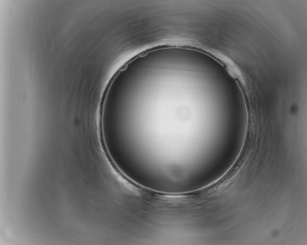 X0000095521343200712211254