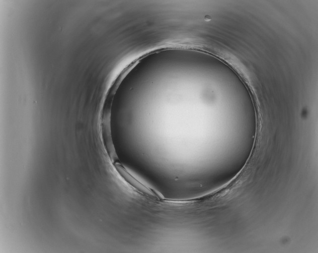 X0000095521344200712211254