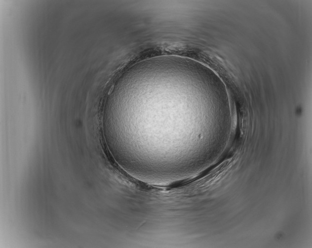 X0000095521345200712211253