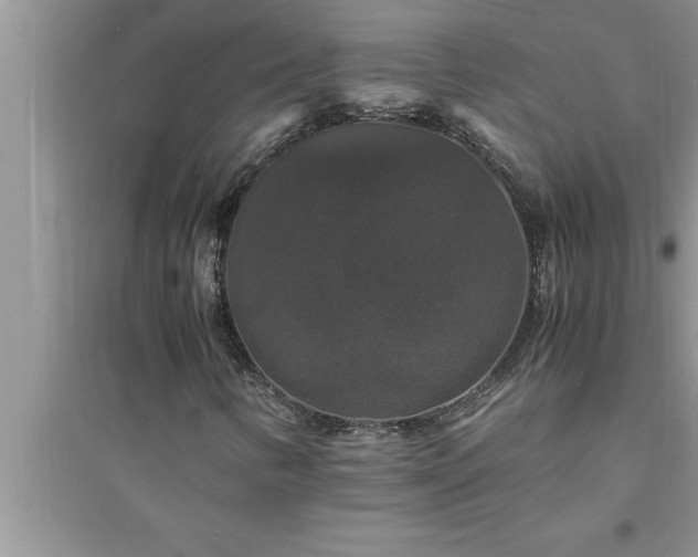 X0000095521346200712211253