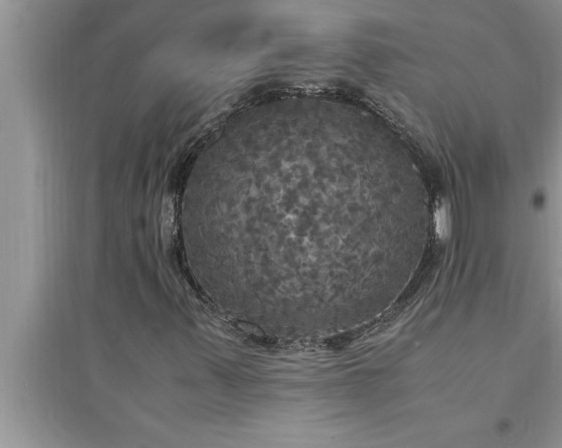 X0000095521347200712211253