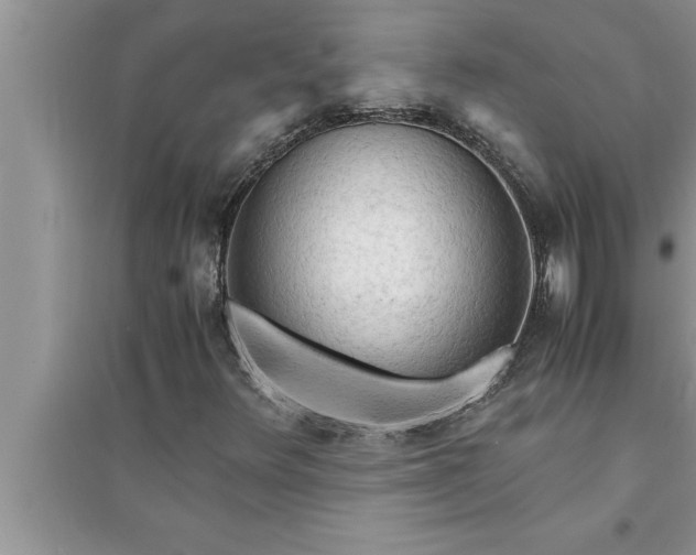 X0000095521348200712211253