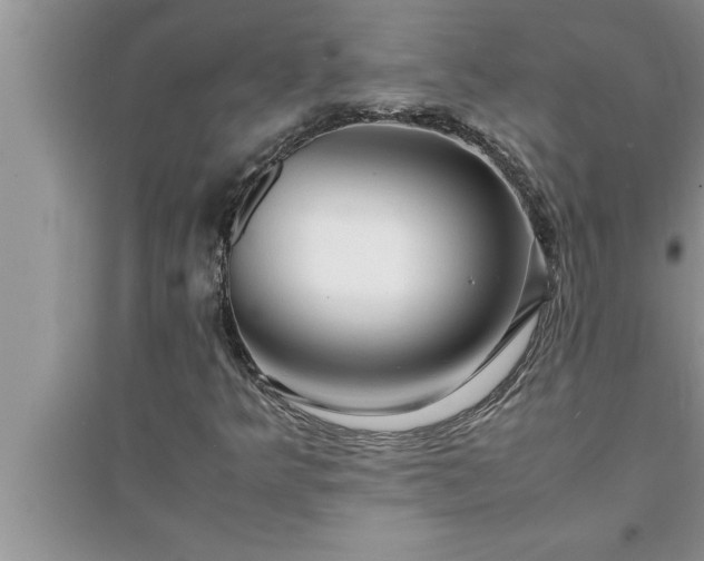 X0000095521349200712211253