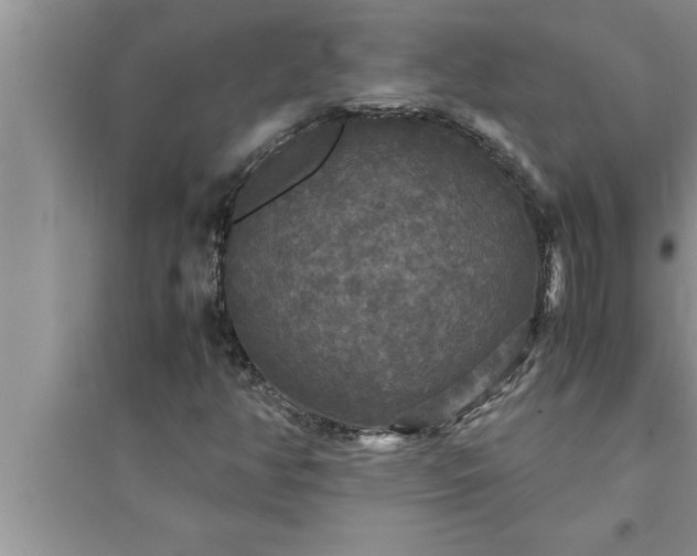 X0000095521350200712211253