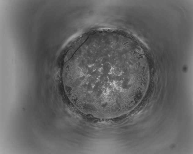 X0000095521351200712211253