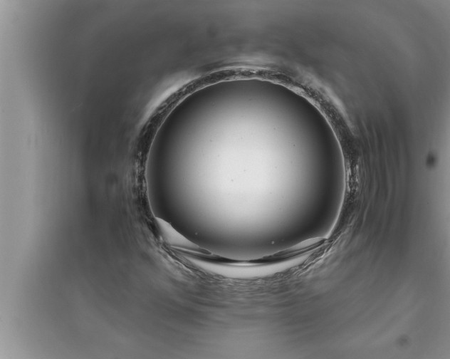 X0000095521352200712211253