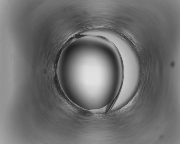 X0000095521353200712211253