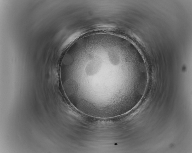 X0000095521354200712211253