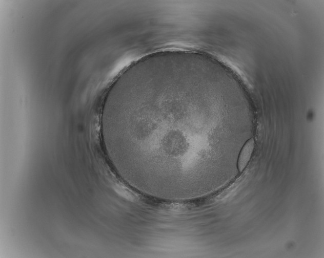 X0000095521355200712211253