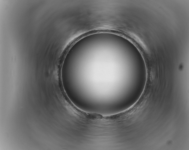 X0000095521356200712211253