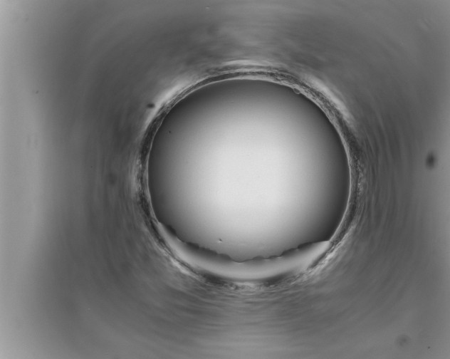 X0000095521357200712211253