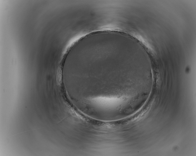 X0000095521358200712211253