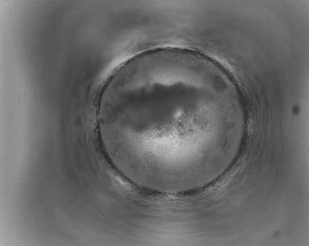 X0000095521359200712211253