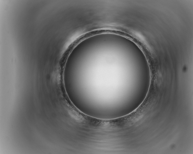 X0000095521360200712211253