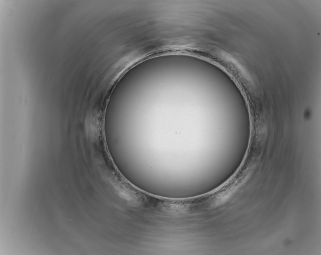 X0000095521361200712211253