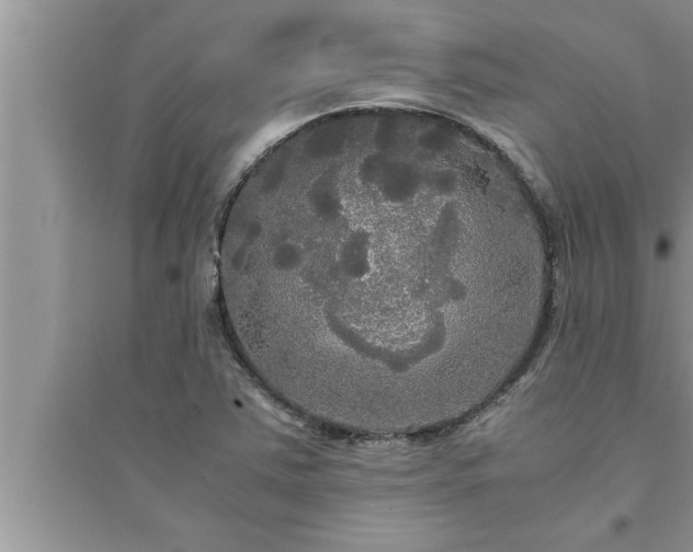 X0000095521363200712211253