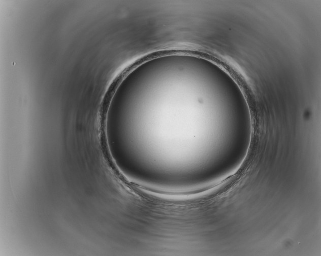 X0000095521364200712211253