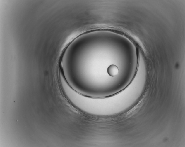 X0000095521365200712211253