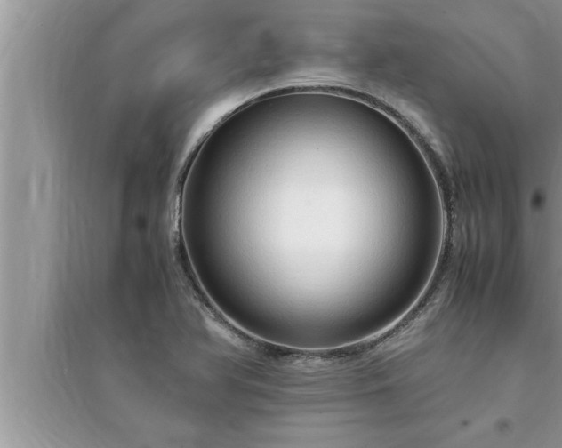 X0000095521366200712211253