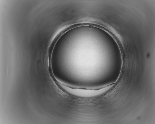 X0000095521368200712211253