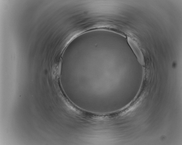 X0000095521369200712211253