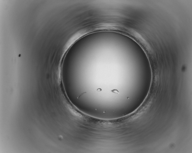 X0000095521370200712211253