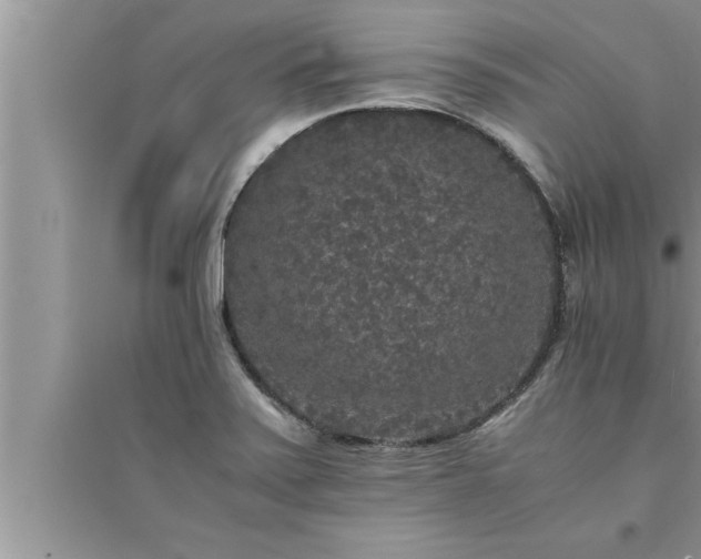 X0000095521371200712211253