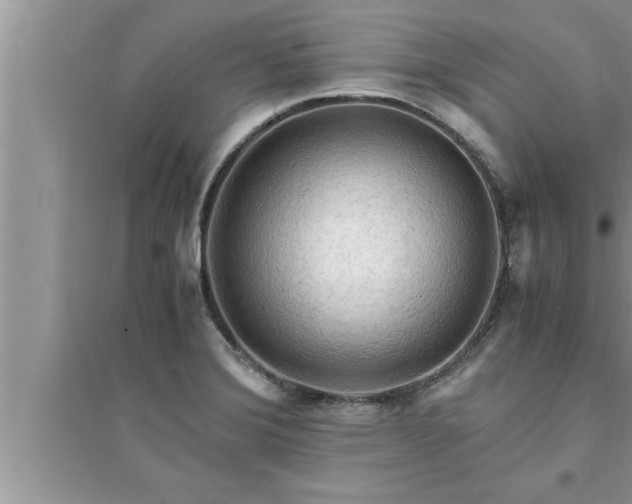 X0000095521372200712211253