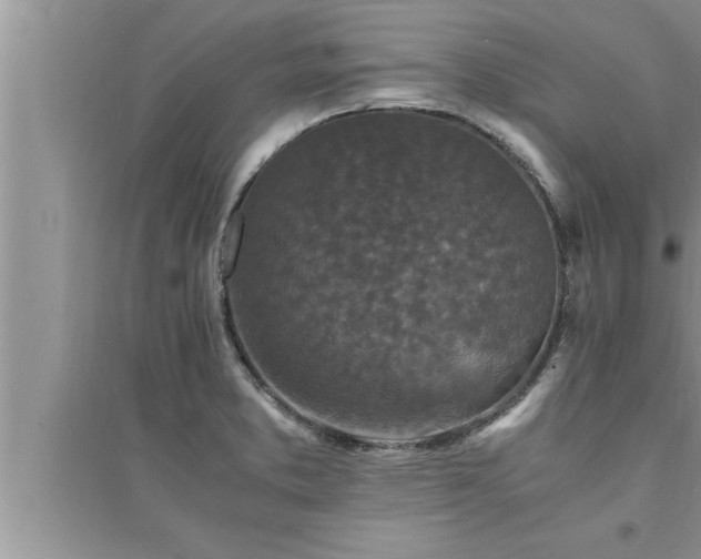 X0000095521373200712211253