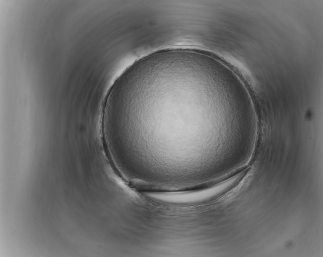 X0000095521374200712211253